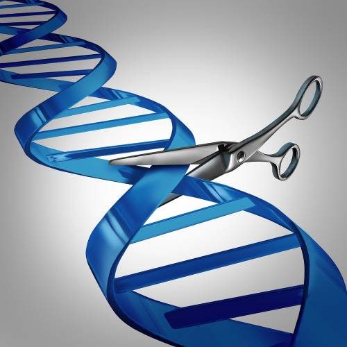 sickle cell disease gene editing