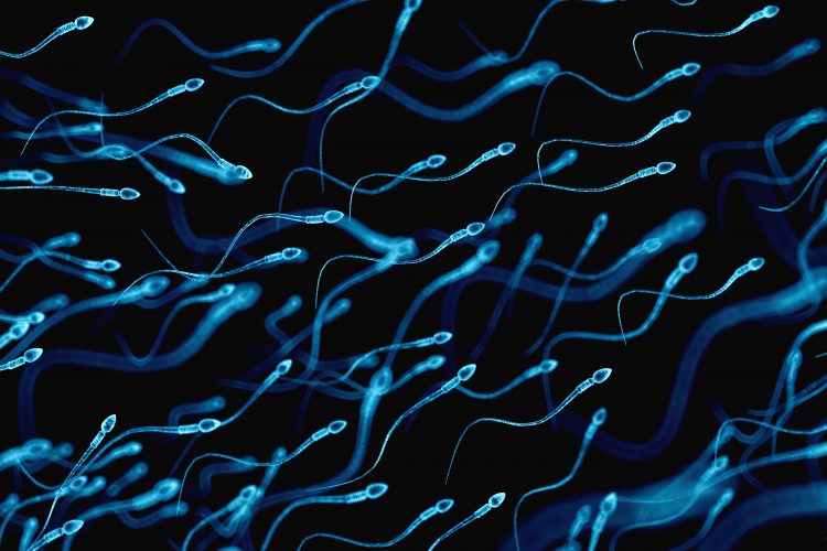 Blue Sperm