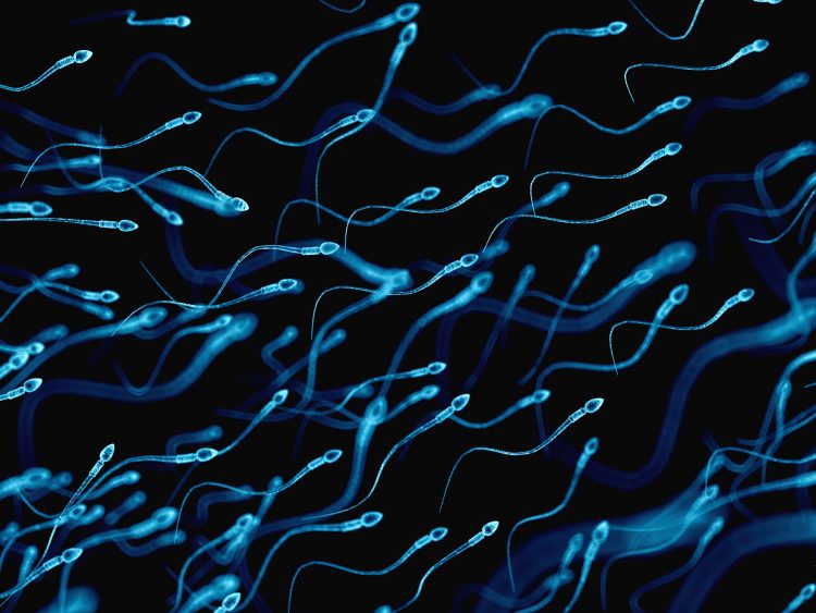 blue sperm on a black background