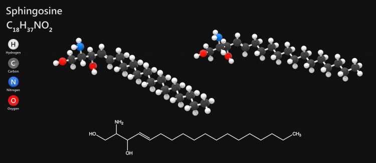 sphingosine chemical structure (C18H37NO2)