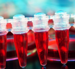 stem cell cultures in eppendorfs