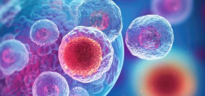 stem cells