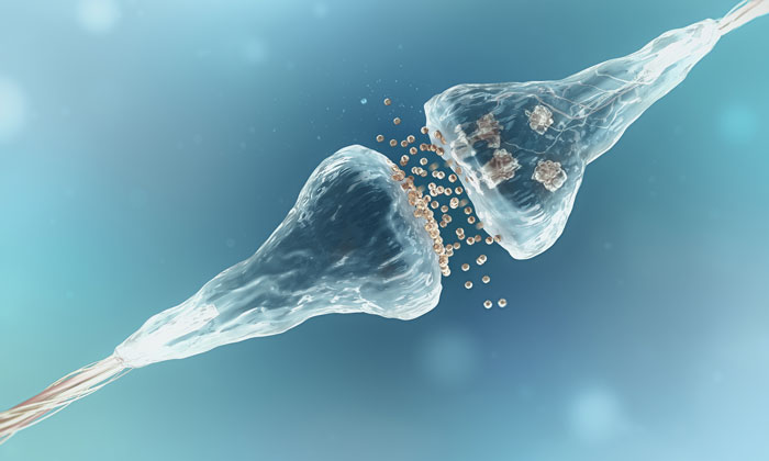 stem-cell-neurons-obese