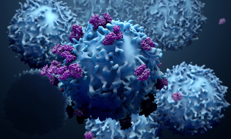 3d illustration proteins with lymphocytes , t cells or cancer cells