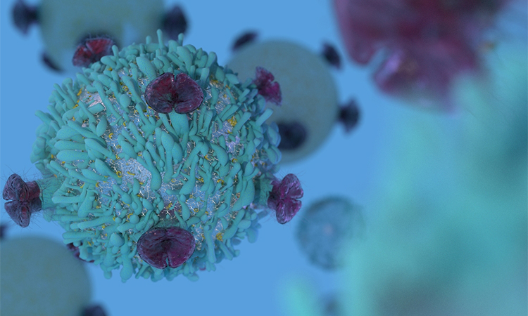 T Cell lymphocyte with receptors for cancer cell immunotherapy research 3D render