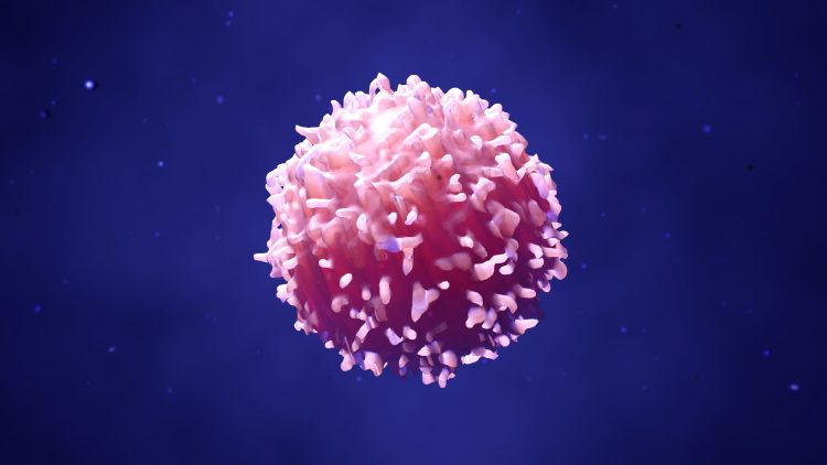 3D artist impression of a T cell