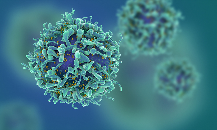 3d illustration of T cells or cancer cells