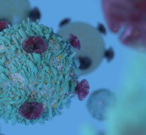 T Cell lymphocyte with receptors for cancer cell immunotherapy research 3D render