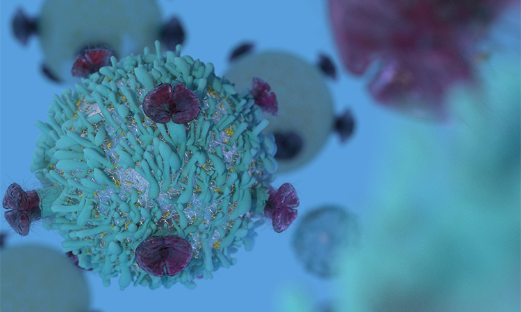 T Cell lymphocyte with receptors for cancer cell immunotherapy research 3D render