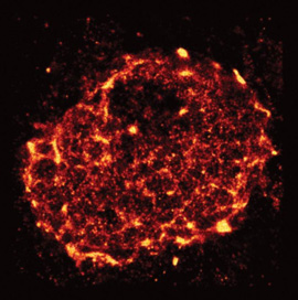 T-cell receptors TCR