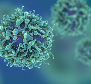 Preventing exhaustion in immune cells boosts immunotherapy in mice