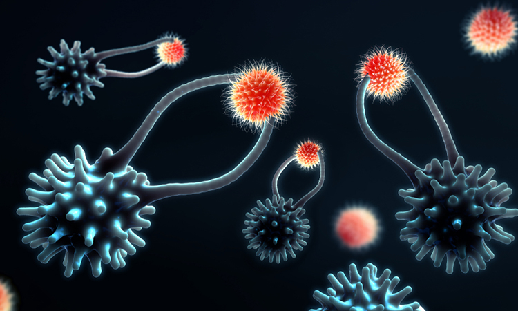 Cytotoxic T cells search and destroy mutated cancer cells - 3d illustration