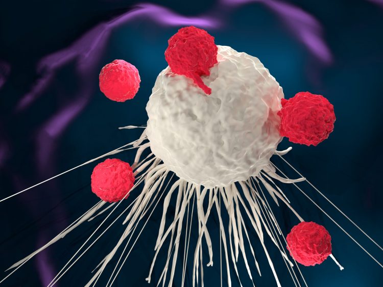T cells in red attacking a white tumour/cancerous cell - idea of immunotherapies