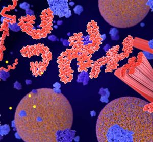 image depicting tau protein