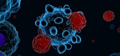 T cells attacking tumour