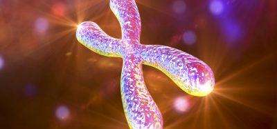 telomere-ageing