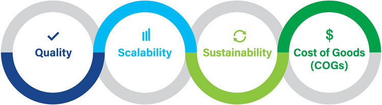 The four areas of Development by Design