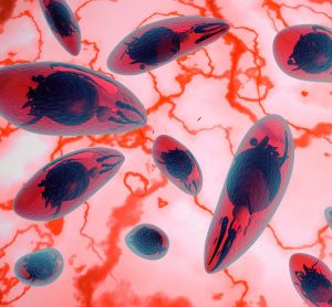 artist impression of toxoplasma parasites