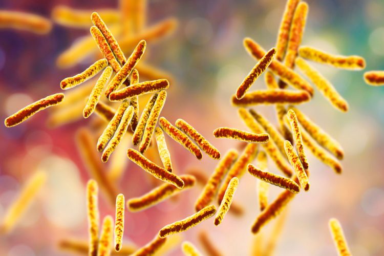 Non-antibiotic drug developed to treat TB - Drug Target Review