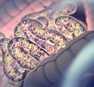 microbe