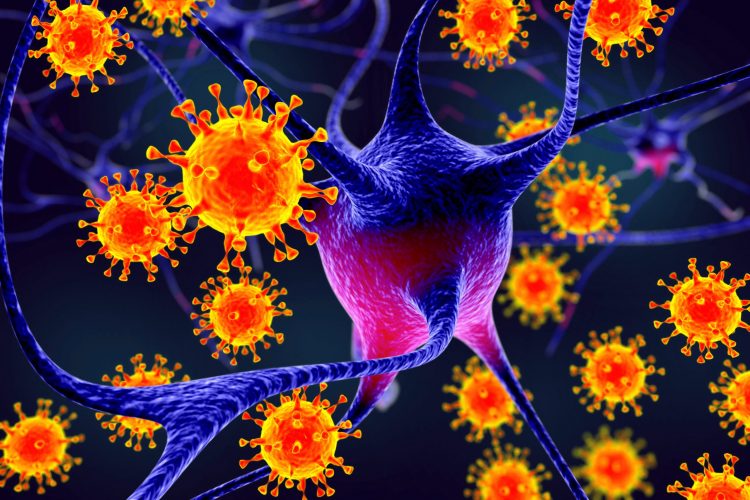 viruses in orange surrounding blue neurons