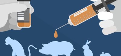animal testing