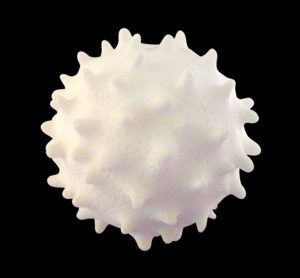 tissue