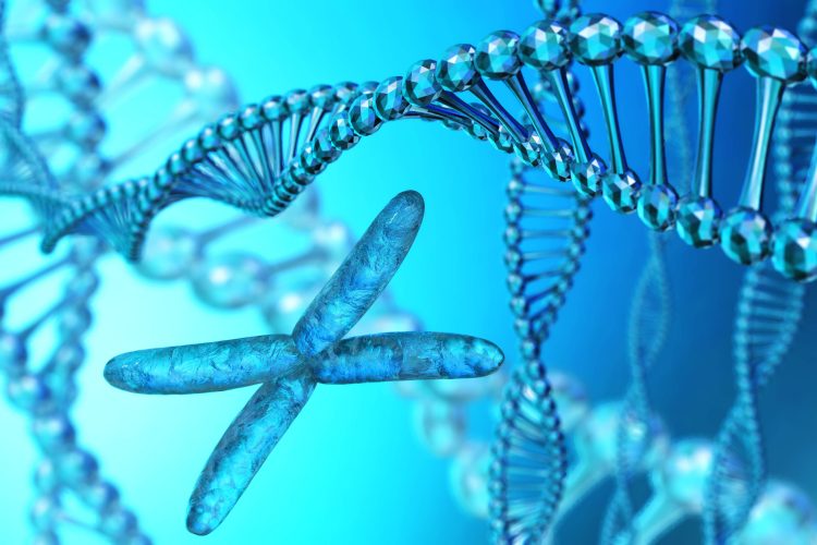 x chromosome surrounded by DNA strands